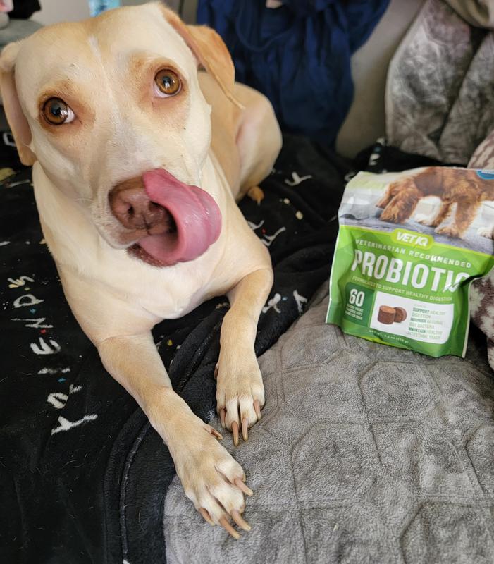 VetIQ's hickory smoked probiotic chews are jowl-licking good!!!