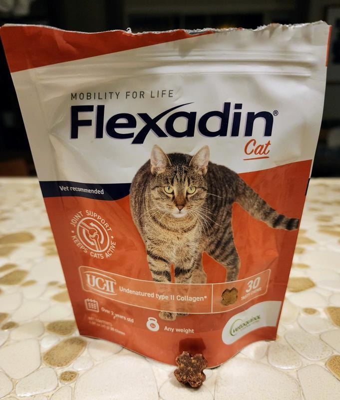 My cats new supplements