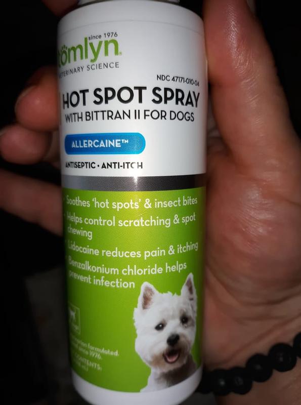 Allercaine for dogs hotsell