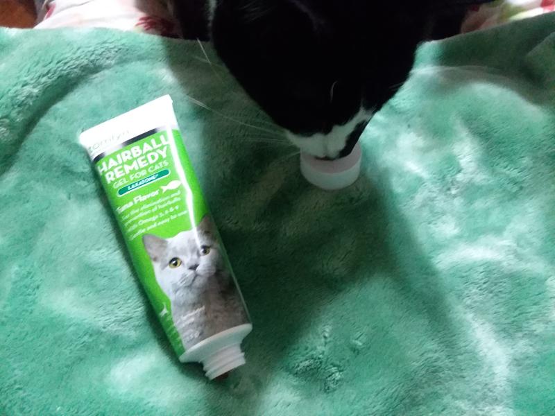 gave cat too much laxatone