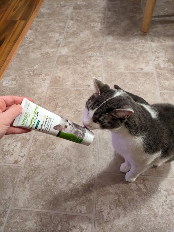 Lactulose for outlet cats hairballs