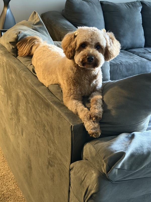 Review photo 4.