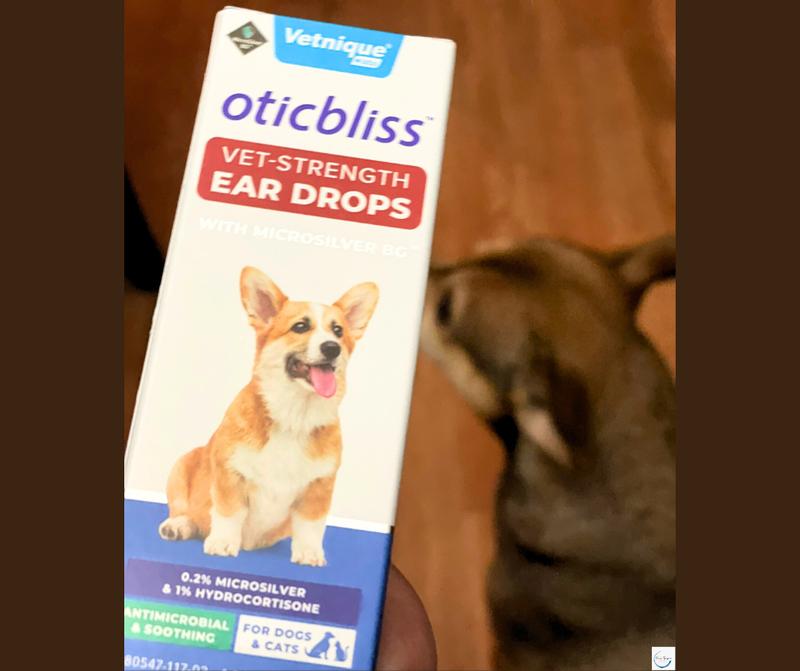 Hydrocortisone in dogs clearance ears