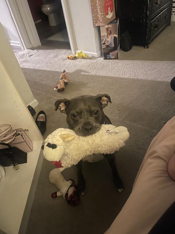 My not so baby anymore girl
