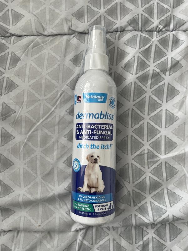 Antiseptic and antifungal spray for outlet dogs