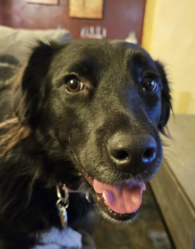 Happy Tonks