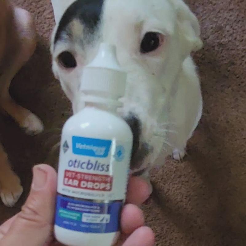 Vetnique Labs Oticbliss Medicated Ear Drops For Dogs Cats, 52 OFF