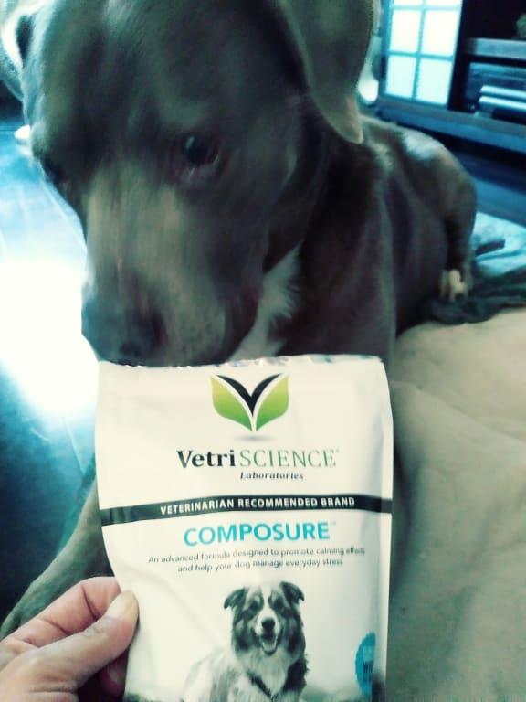 VetriScience Composure Calming Chews for Dogs 60 Count