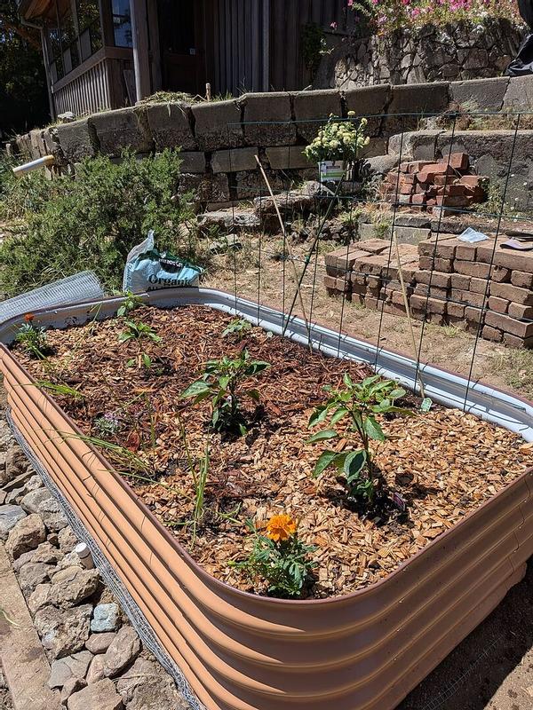 Vego Garden 42-in W x 78-in L x 17-in H Olive Green Metal Raised