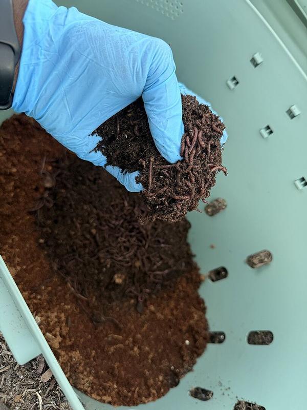 Vego Garden Plastic Worm composter Composter in the Composters ...