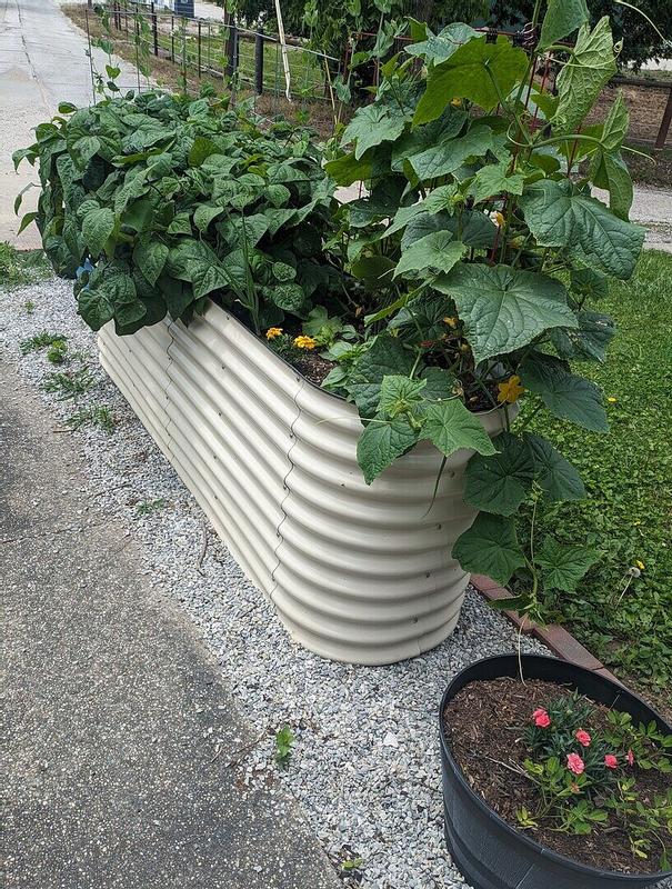 Veikous Metal Raised Garden Bed for Vegetables and Flowers