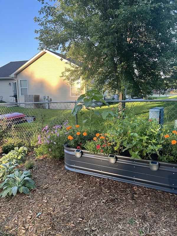 Vego Garden 32-cu ft 42-in W x 78-in L x 17-in H Sunlit Oak