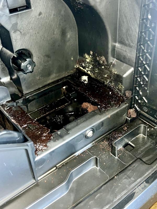 Spilled grounds internally, results in mold growth.