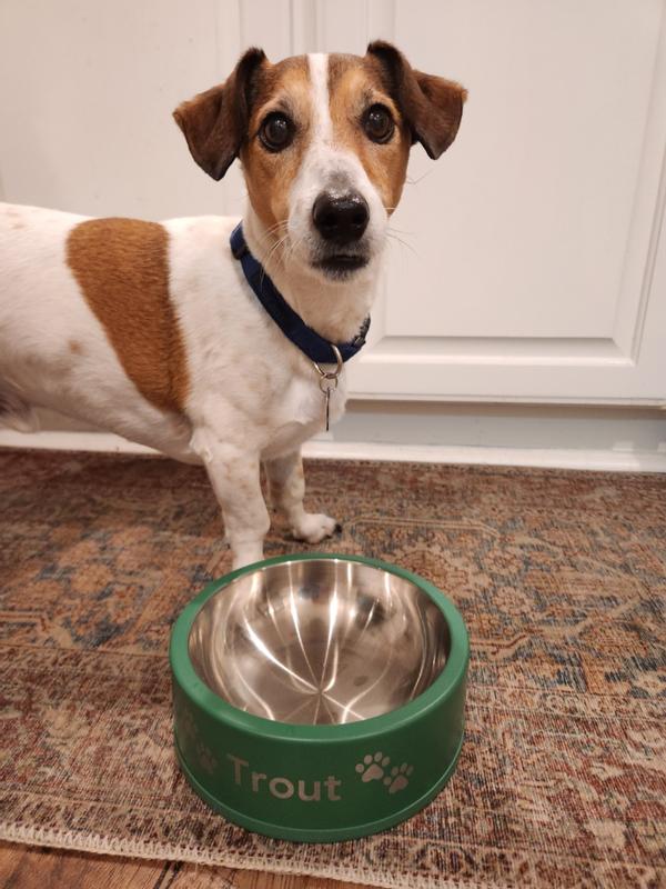 Wild One Black Stainless Steel Dog Bowl