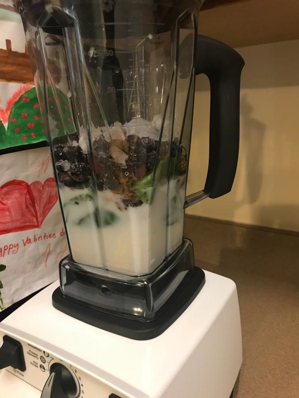 Vitamix 6300 outlet refurbished