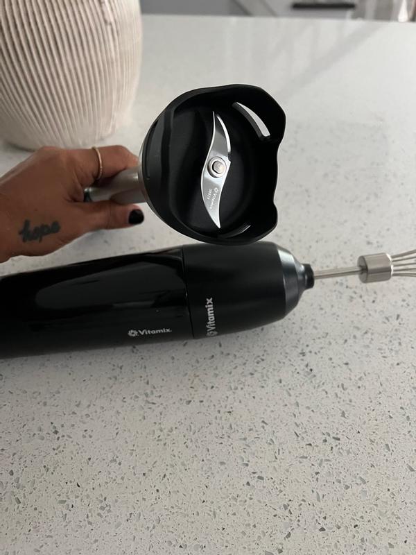 2-Speed Immersion Blender + Whisk Attachment