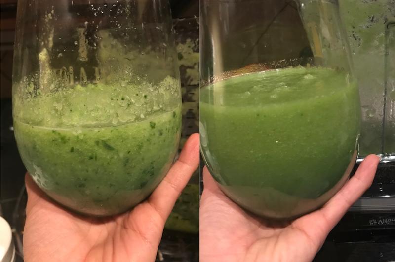 Ninja vs vitamix E310