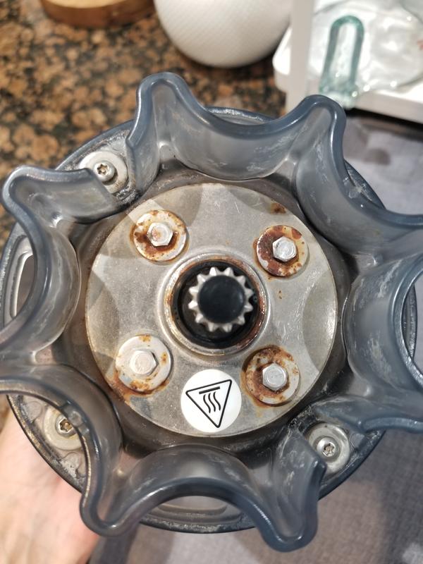 Rusted bottom. I purchased in 2017, but it started rusting within the first few months of owning it.