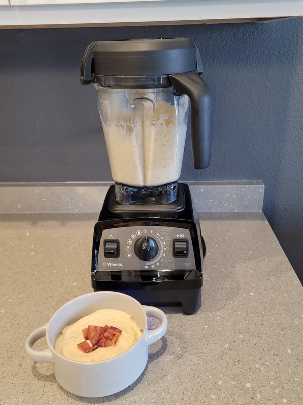 Our Vitamix Propel Series 750 Tested Review