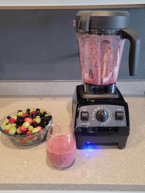 Vitamix Propel 750 Review 