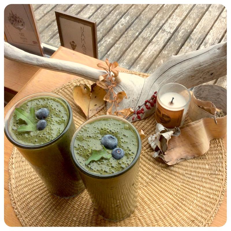 Total Nutrition Center - Classic Blenders MX Total Nutrition Center - Classic Blenders MX