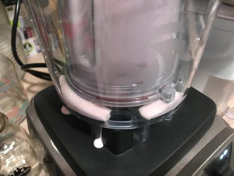 Vitamix personal cup adapter clearance costco