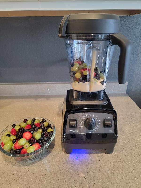 Our Vitamix Propel Series 750 Tested Review
