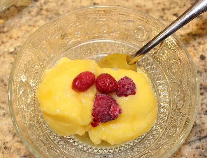 Vitamix Orange Sorbet Recipe Besto Blog