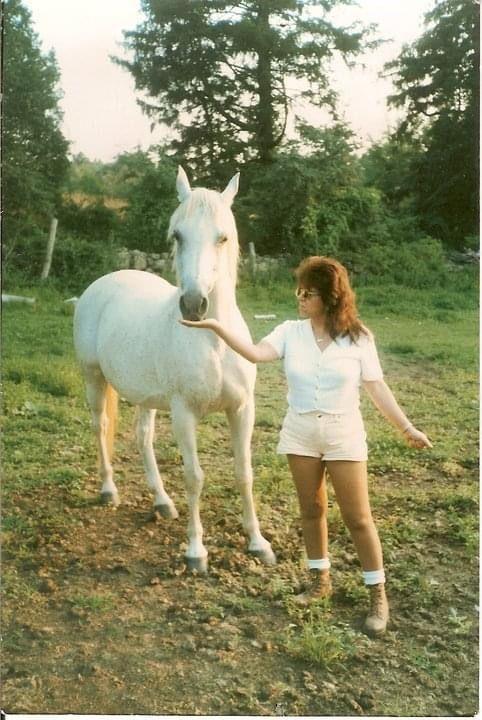 My experience with Stasis