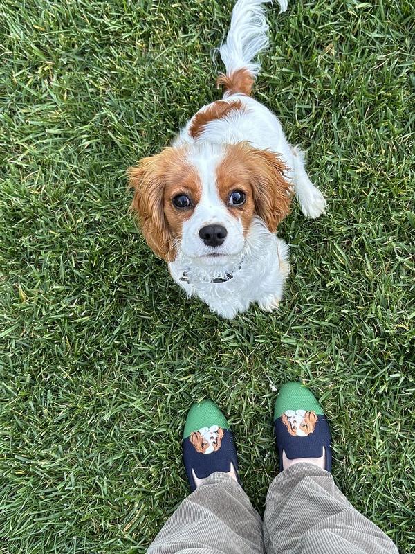 Customer photo for "Adorable"