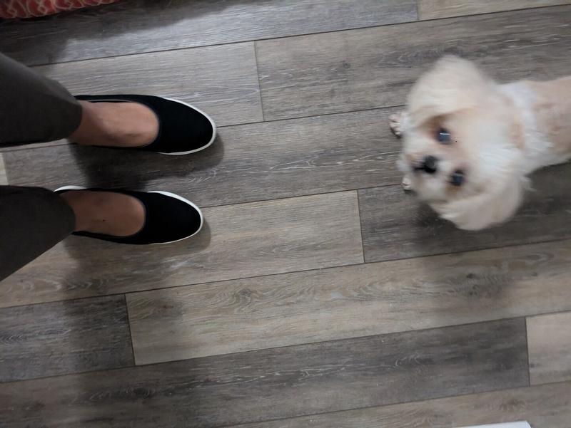 Customer photo for "Comfortable, true to size"