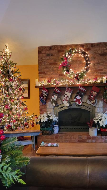 G160281LED - Alberta Spruce Christmas Tree | Vickerman