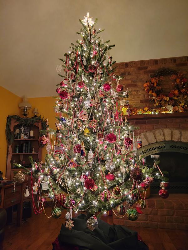 G160281LED - Alberta Spruce Christmas Tree | Vickerman