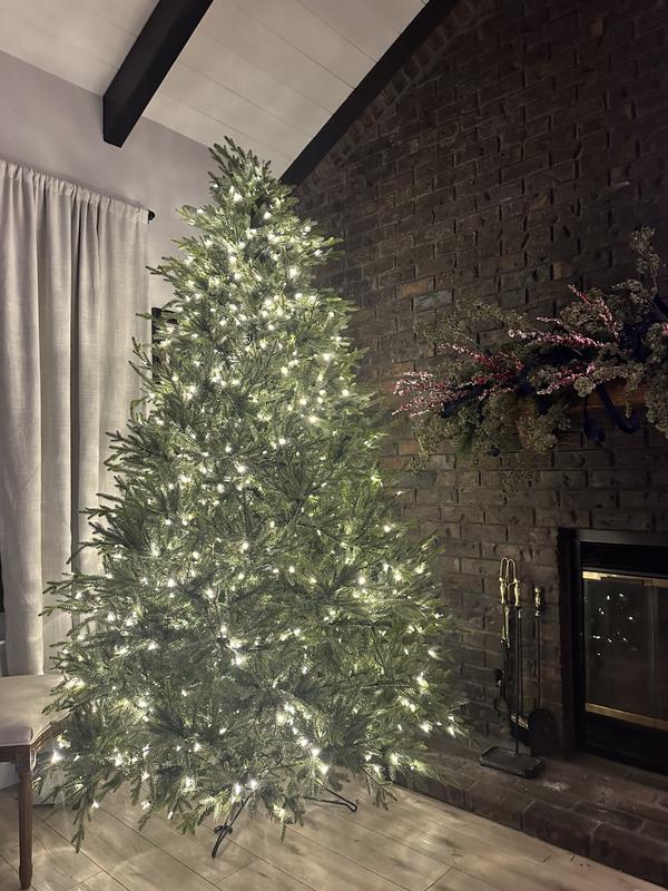 A110376LED - Itasca Frasier Christmas Tree | Vickerman