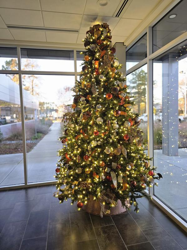 G183283LEDCC - Welch Frasier Fir Christmas Tree