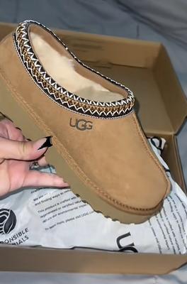 Jessica's photo of the Tasman Slipper. Photo 1 of 1