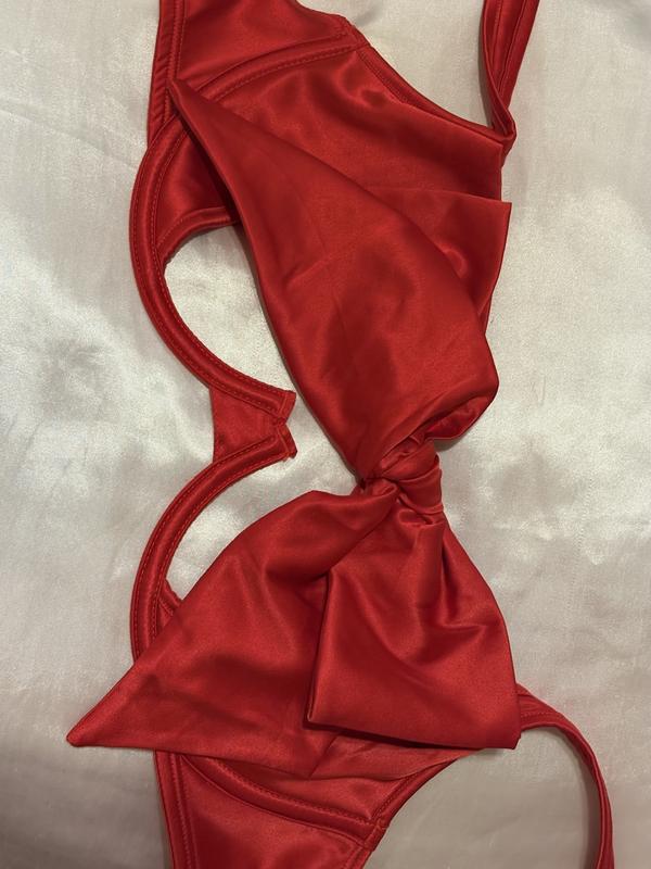 SILLIFILLI's photo of the Gynger Plunge Bra. Photo 1 of 2