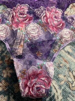 Victoria's Secret Dream Angels Embroidered Lace Kosovo