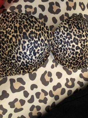 Ruth's photo of the Sexy Tee Smooth Push-Up Bra. Photo 3 of 3. Review Image shared by Ruth