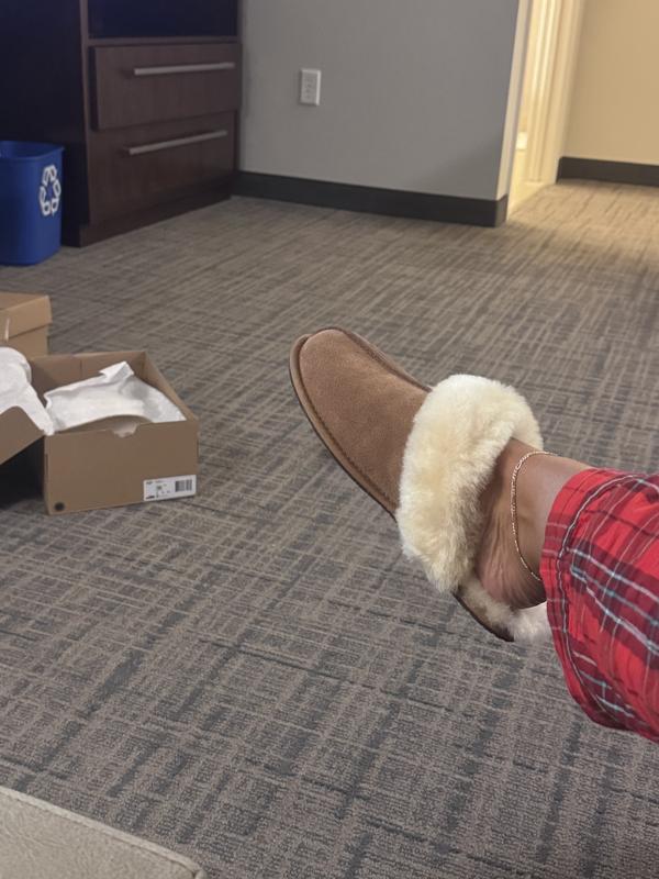 Customer photo for "Comfy"