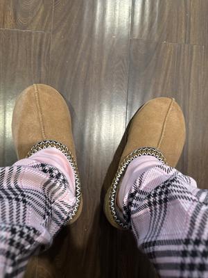 Laura's photo of the Tasman Slipper. Photo 3 of 3