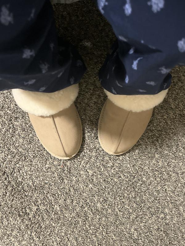 lupita 's photo of the Scuffette II Slippers. Photo 2 of 3