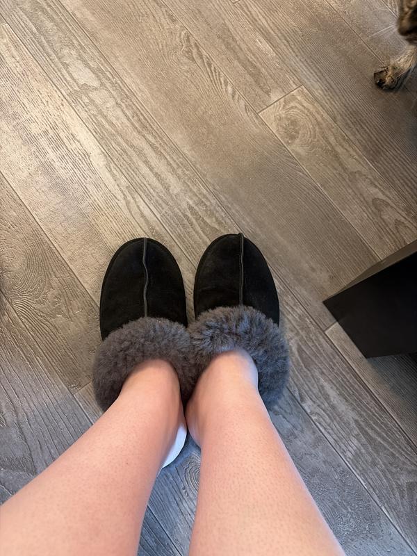 Patricia's photo of the Scuffette II Slippers. Photo 1 of 1