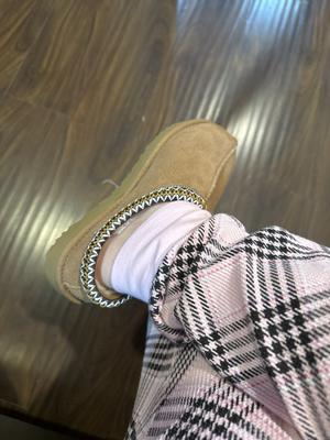 Laura's photo of the Tasman Slipper. Photo 1 of 3