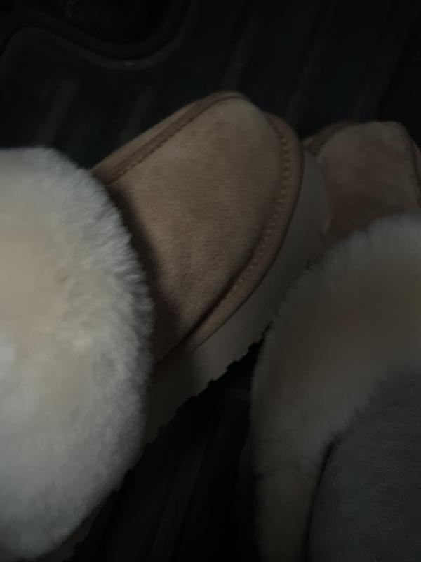lucy19's photo of the Disquette Slippers. Photo 1 of 1