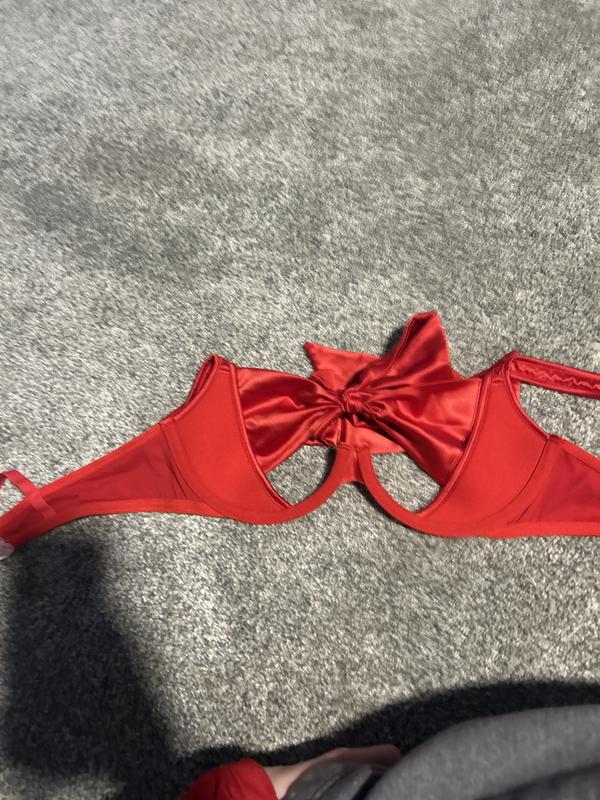 Mia D's photo of the Gynger Plunge Bra. Photo 1 of 3