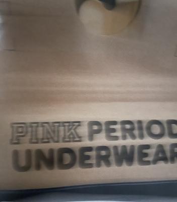 Buy Victoria's Secret PINK Period Panty Hipster from Next Ireland