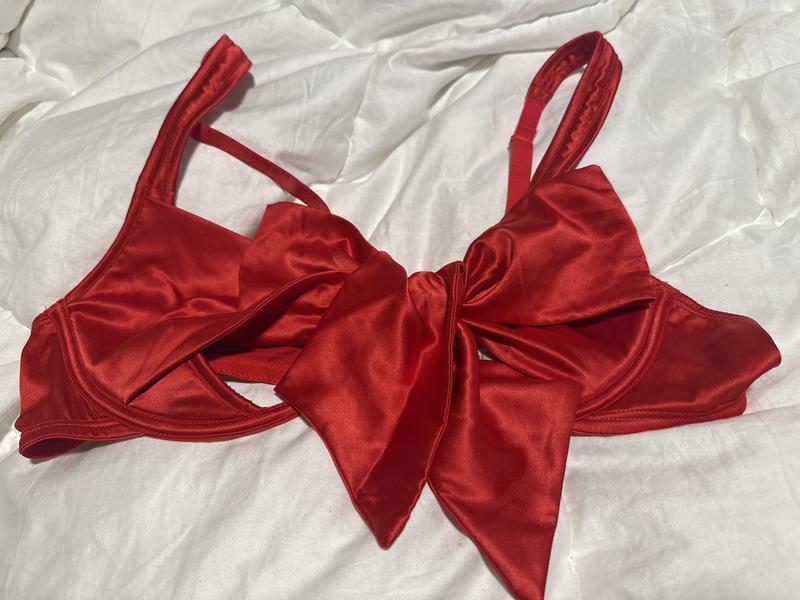 XOCHIQUETZAL's photo of the Gynger Plunge Bra. Photo 1 of 1