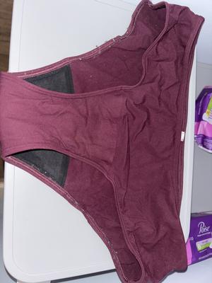 Period Hiphugger Panty