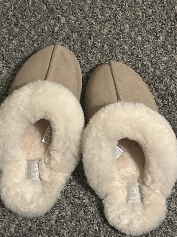 lupita 's photo of the Scuffette II Slippers. Photo 3 of 3